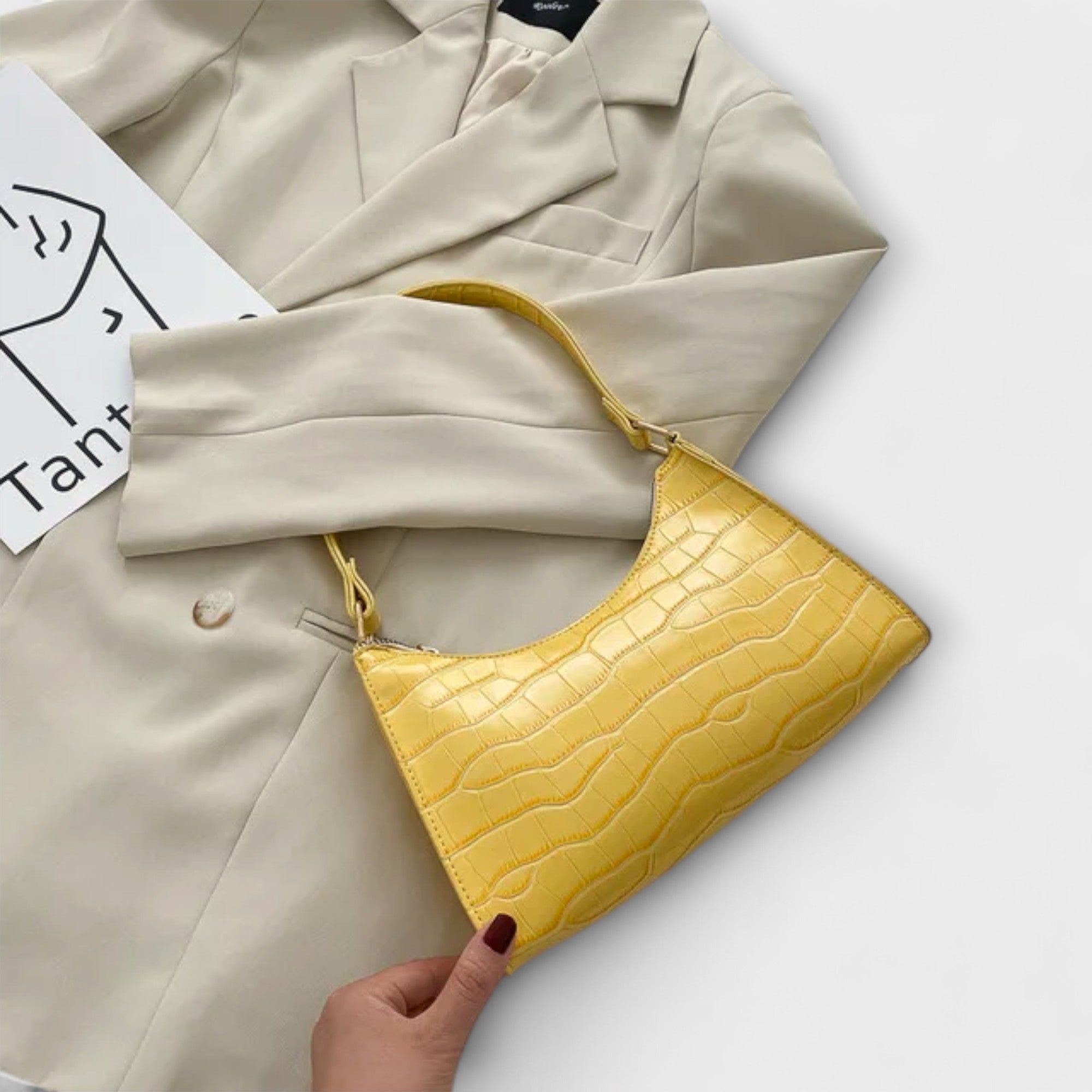 Shiny Bag