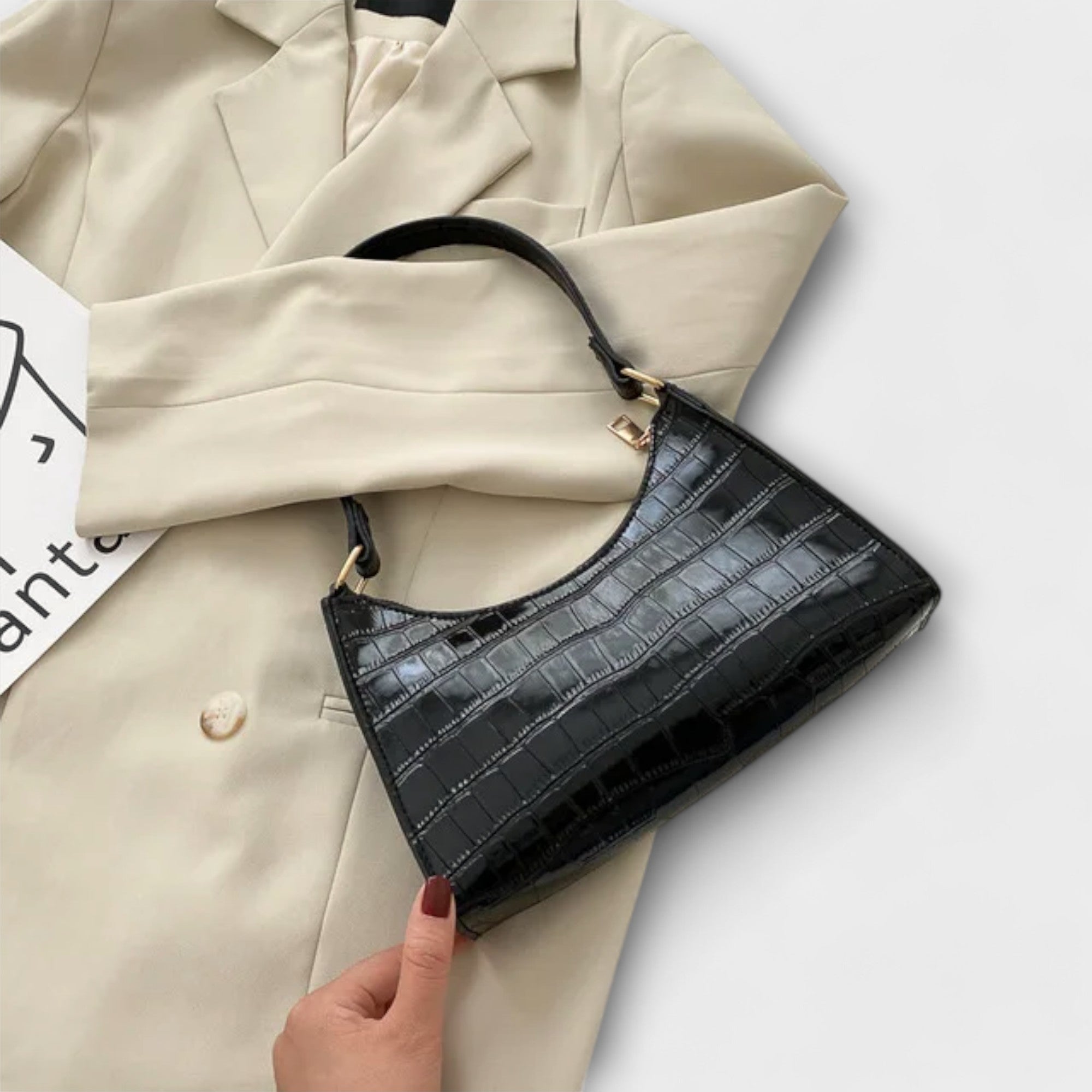 Shiny Bag